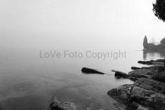 DSC09826-1